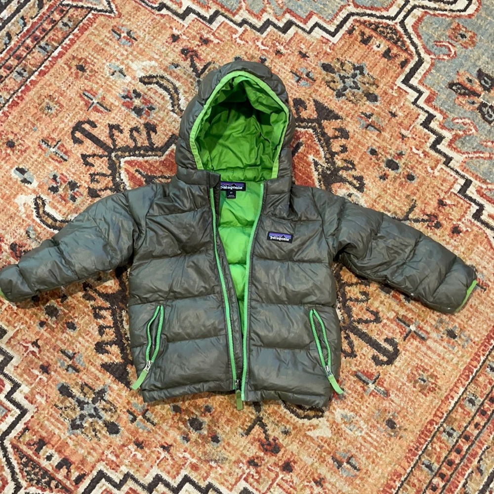 Patagonia Down Hoody